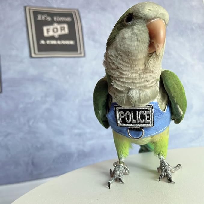RRRIOT Bird Flight Harness Vest, Parrot Flight Suit with Leash, Blue, Medium, Cotton, Anti-Slip Rubber, Zipper Closure, Suitable for Parrots, Birds
