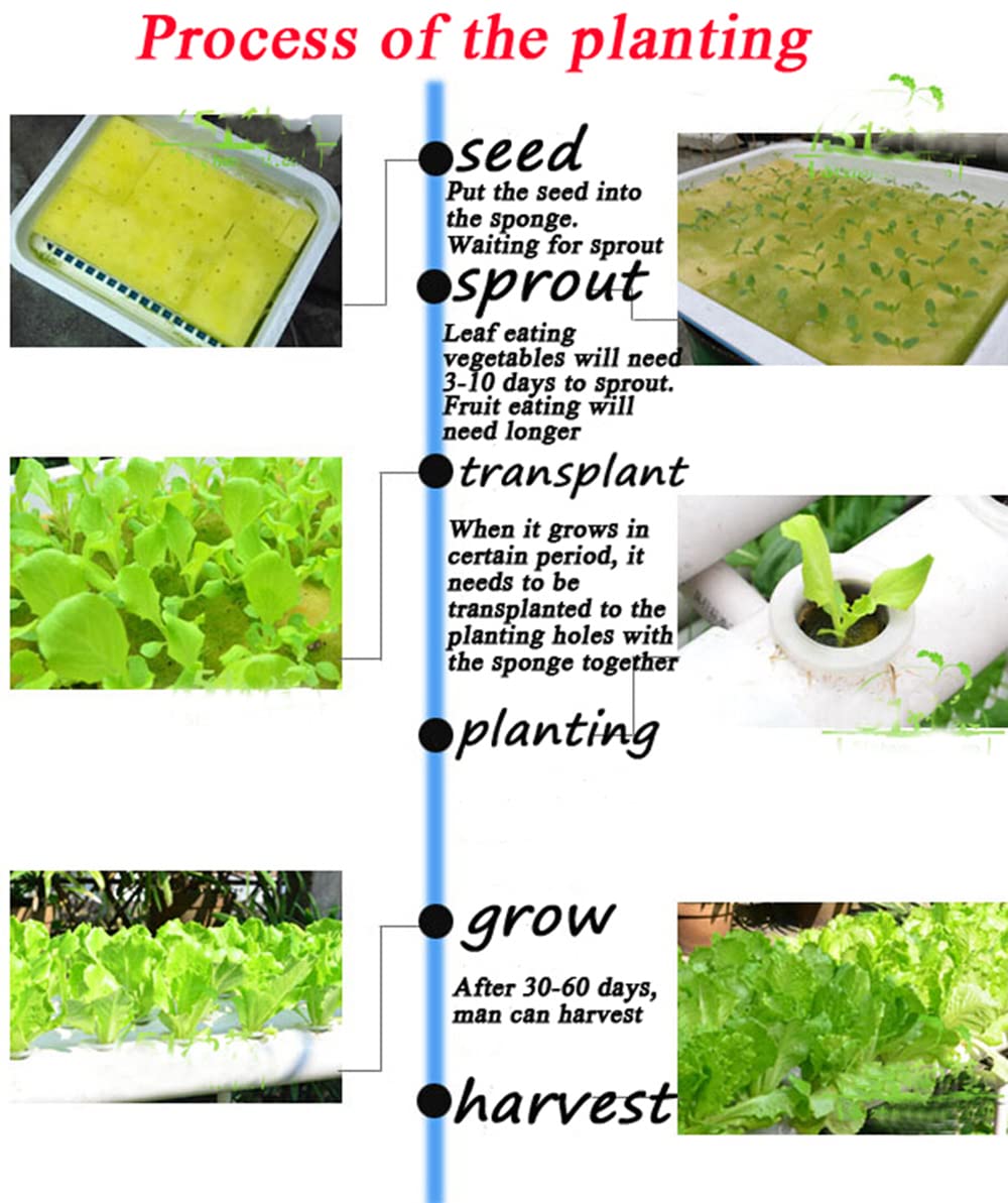 EQCOTWEA Wall-Mounted Hydroponic Grow Kit 36 Plant Sites Hydroponics Planting System 4 PVC Pipes Hydroponic Gardening Indoor System with 110V Water Pump,Planting Sponge,Hose