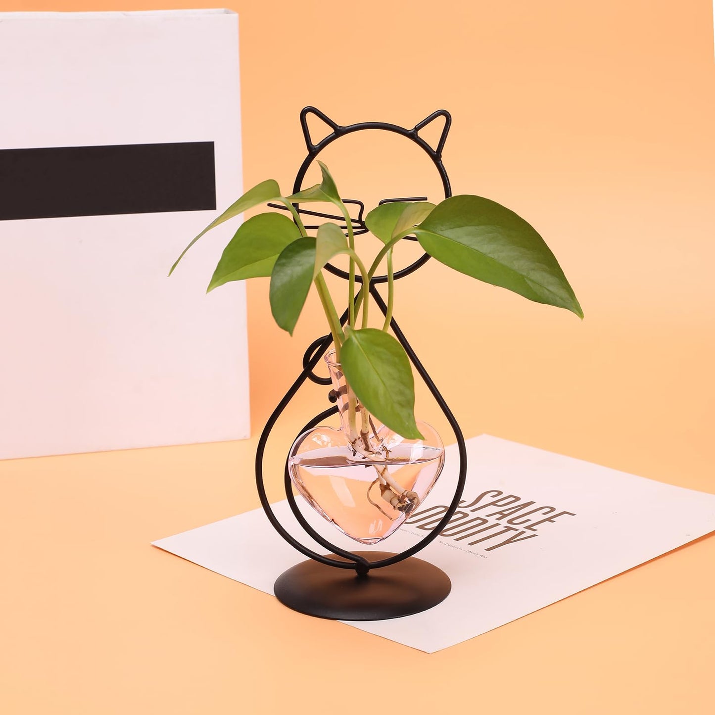 Plant Terrarium Plants Propagation Station Cat Lover Gifts for Women Home Office Decor Cat Desk Accessories