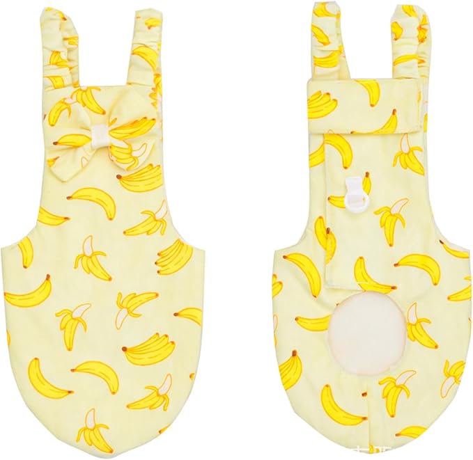 Bird Diaper and Leash Set with Harness, Monk Parakeet/Caique/Senegal Parrot Diapers with Harness, Pet Bird Flight Suit Set for Outdoor Flying & Training (L)