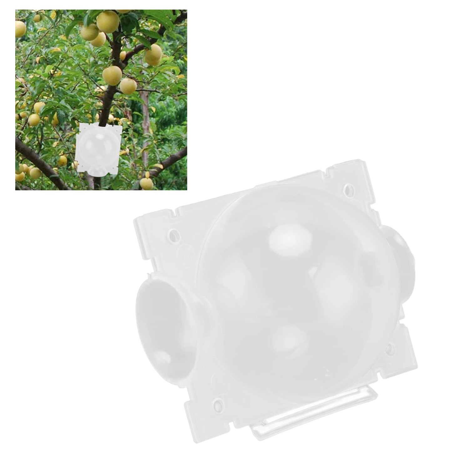 Gazaar 10Pcs Plant Root Growing Box,Plant Rooting Grow Propagation Ball,High Pressure Propagation Ball,Grafting Rooting Ball for Plants