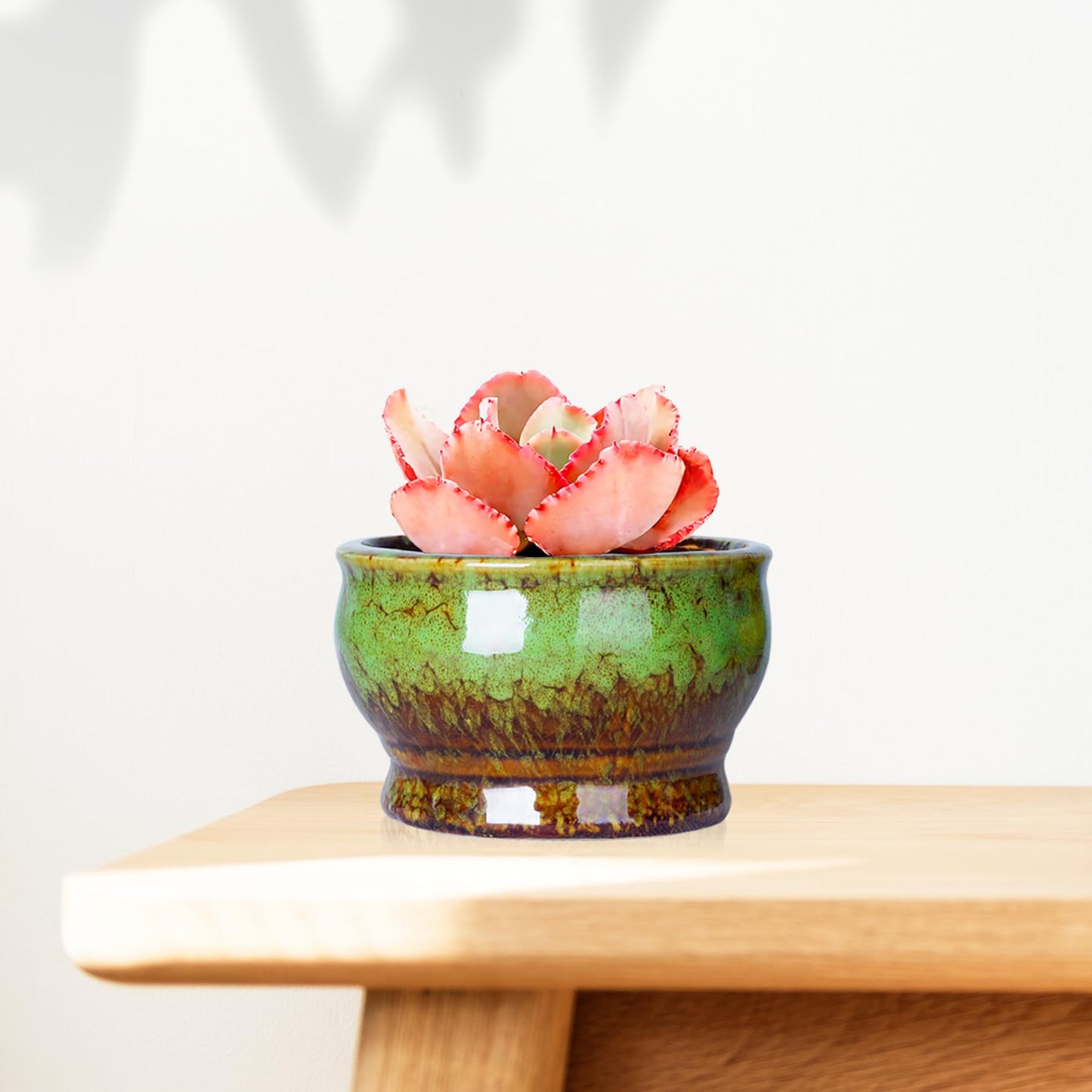 ARTKETTY Succulent Pots - 4.3 Inch Small Plant Pots with Drainage Set of 5, Ceramic Pots for Indoor Plants Glazed Cactus Flower Planter Container