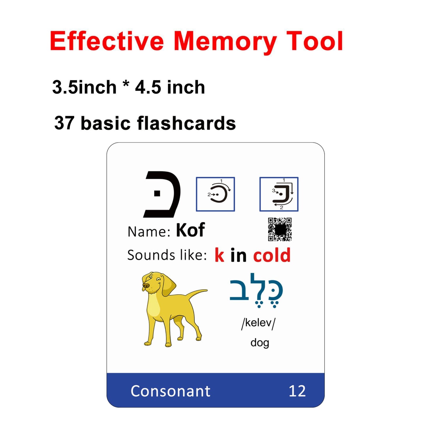 Woifish Biblical Hebrew Alphabet Flash Cards