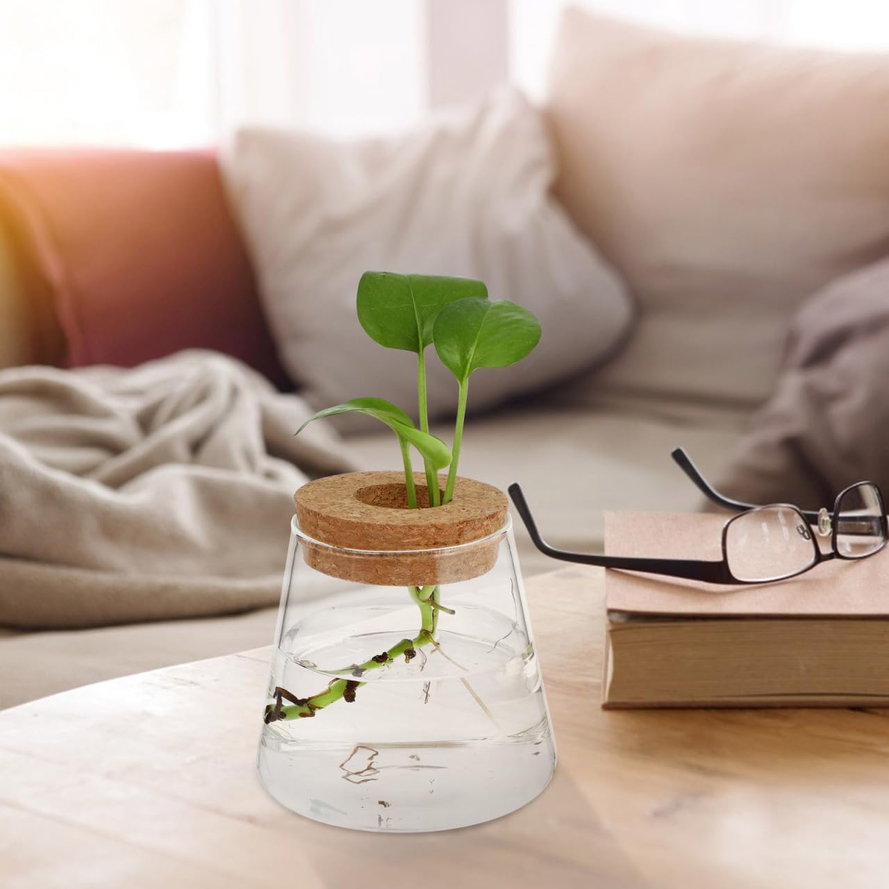 Garneck 2Pcs Desktop Glass Terrarium Transparent Glass Hydroponic Planter Vase Set Micro Landscape Terrarium Container for Home and Office Decor