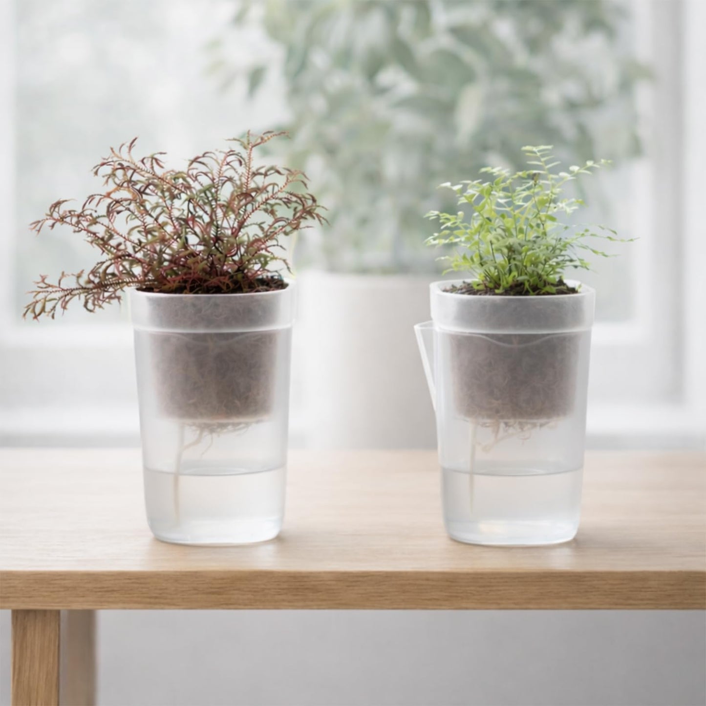 12 Pack 2.5" Small Self Watering Pots for Indoor Plants, Mini Clear Plastic Planters with Water Level Drainage Holes, 12 Plant Labels, Semi-Hydro Propagation Pots for Hoya, African Violets, Alocasia