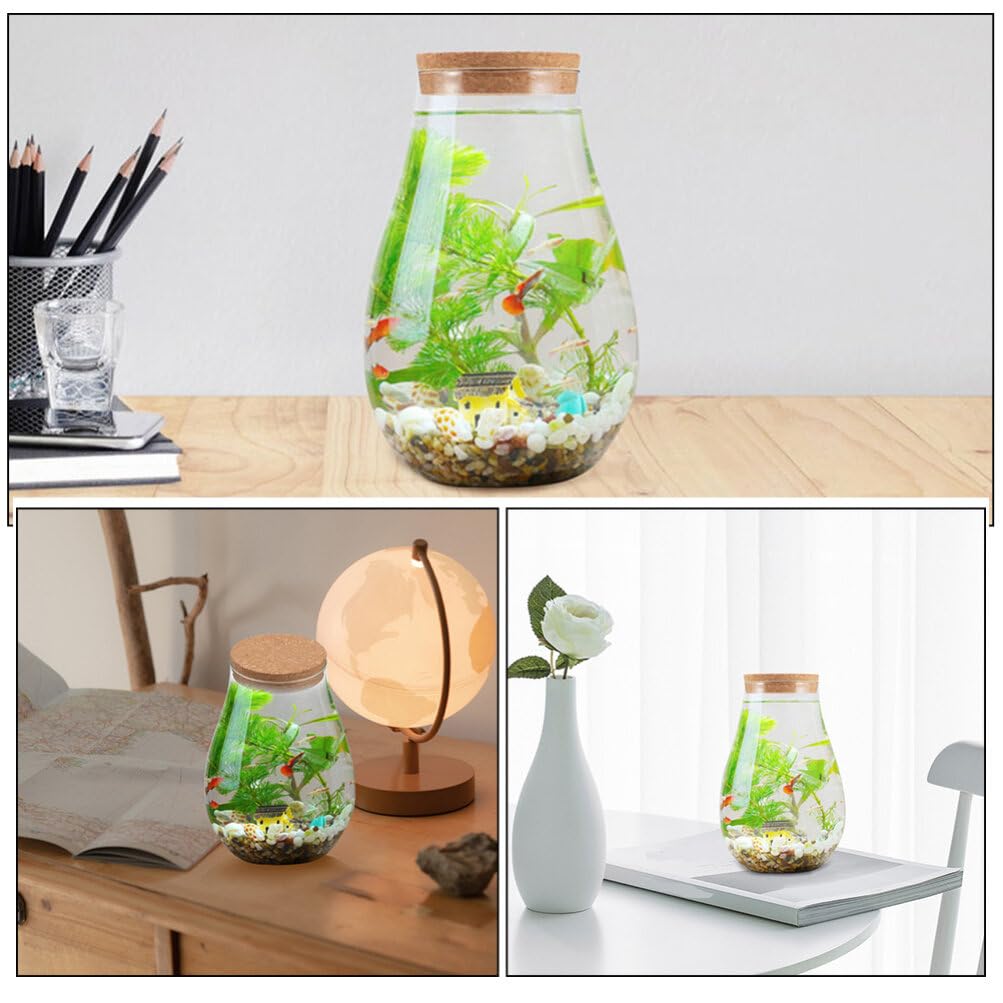 INOOMP 2pcs Glass Plant Terrarium, Tabletop Succulent Planter Sealed Glass Bottles Vial Air Plant Planter Candy Cookie Jar Fish Bowl Vase with Cork Top