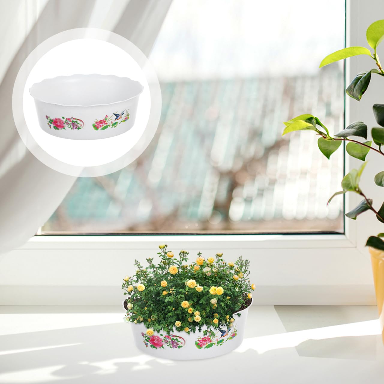 HANABASS 3 Pcs Hydroponic Lotus Water Lily Planter Planting Bowl Round Shallow Flowerpot Container Fish Bowl for Water Lily, Succulent, Aquatic Plant Garden Decoration