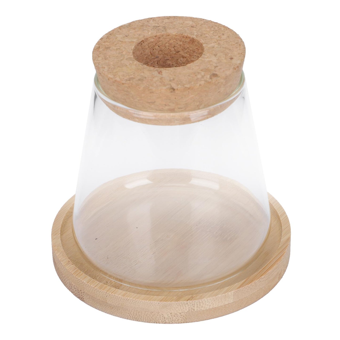 IMIKEYA Hydroponic Glass Flower Vase with Wooden Stopper and Tray, Ecological Plant Terrarium Bottle for Office Desktop Decoration and Indoor Gardening