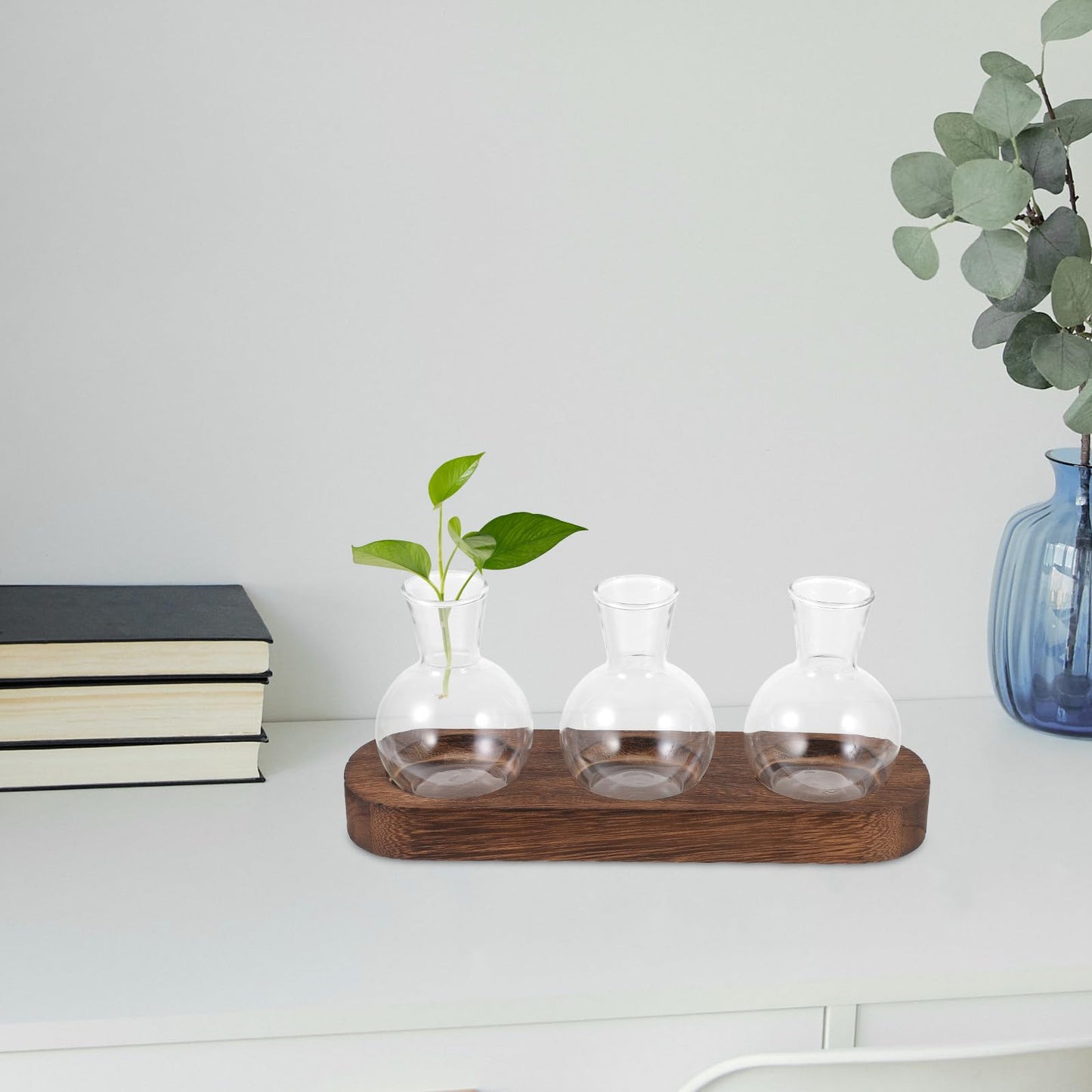 PRETYZOOM Glass Plant Vase Set with Wooden Base, Hydroponic Terrarium for Office and Living Room Decor, 3pcs Tabletop Flower Arrangement Vessels