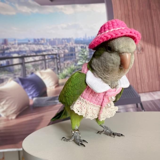 Bird Apparel Clothes for Multiple Bird Species, Cockatoo Costume, Pink Top, Holiday Photo Prop, Unisex, Cloth, Hand Wash Only, Small