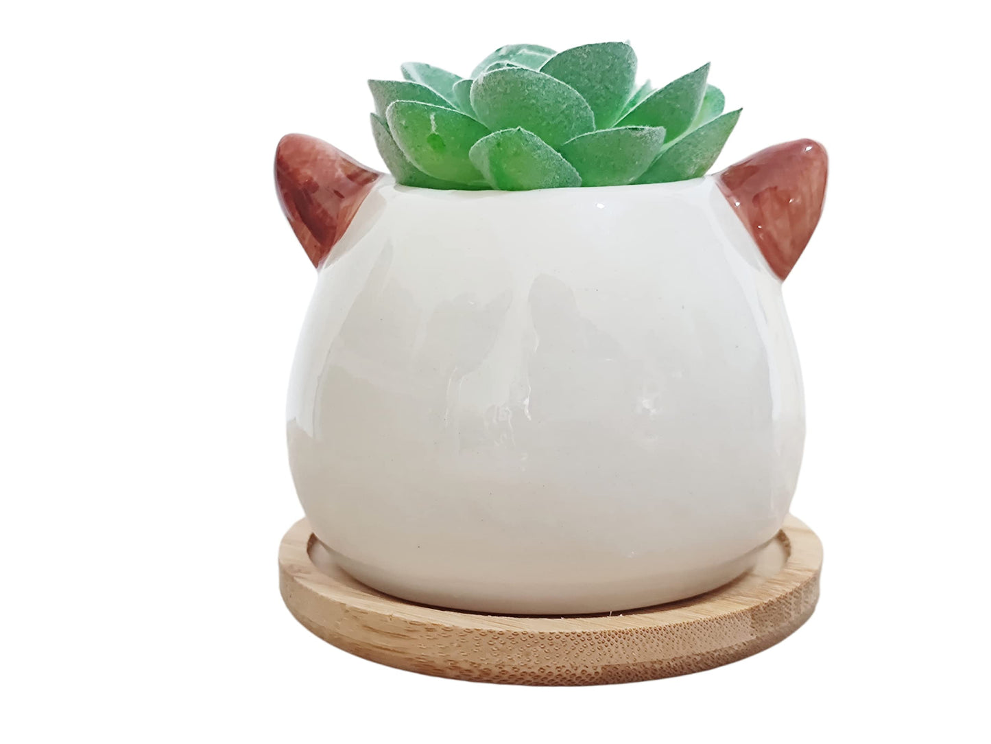 Cuteforyou Cute 3.5 Inches Indoor Cartoon Animal Cat Shaped Ceramic Succulent Cactus Flower Plant Pots with Bamboo Tray-Plant Not Included (White)
