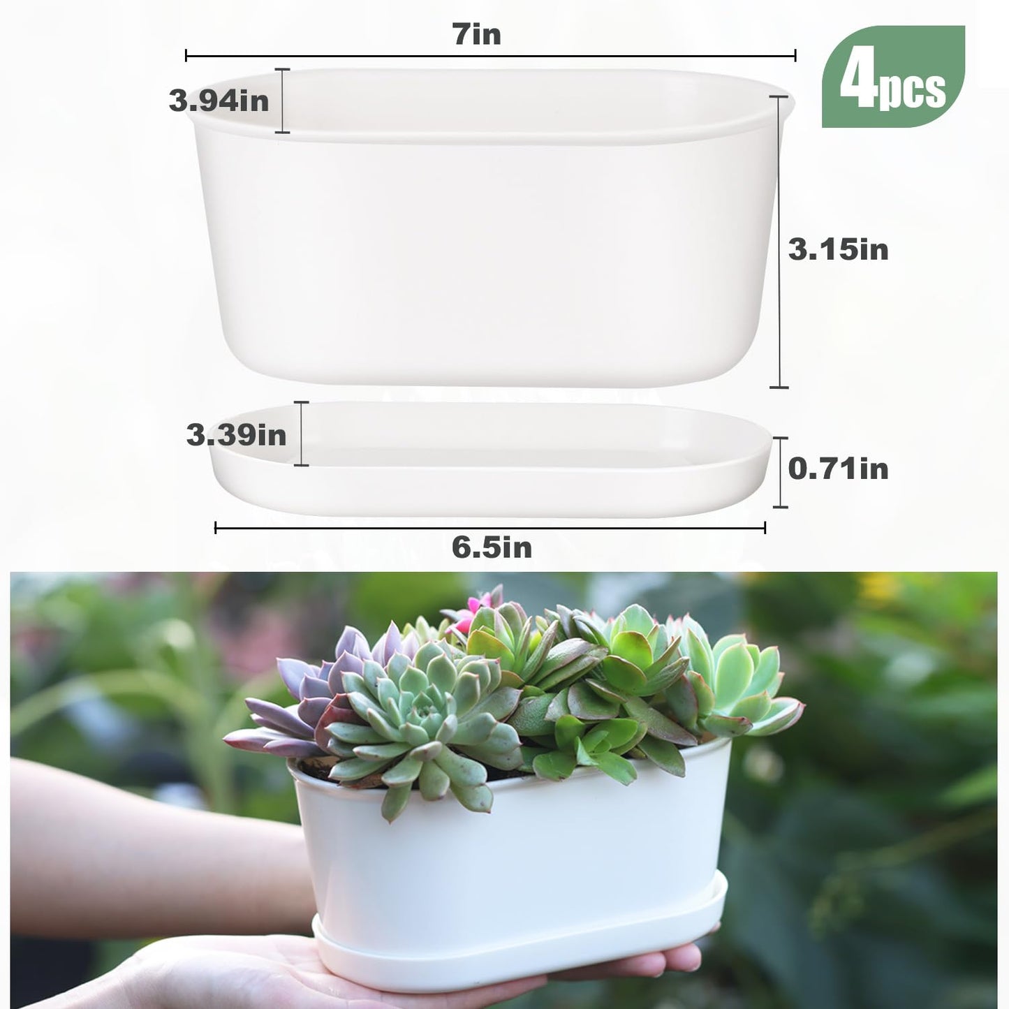 Oliz Set of 4 White Oval Window Sill Planters with Drainage Holes and Trays（7 Inch） for Herbs Basil Orchids Succulents, Modern Herb Garden Planter for Indoor/Outdoor Plants