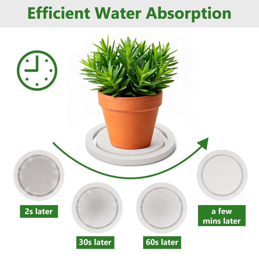 Johamoo Plant Saucer for Indoors, 2 Pack 6 Inch, Instantly Dry Diatomaceous Earth Plant Trays, Stone Plant Pot Saucers Drip & Drainage Tray, White