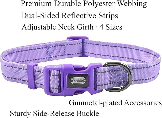 Dog Collar Leash Set, with Relfective Strips, Lilac Purple, Large. | Adjustable Collar,5 ft Matching Leash,Neoprene Padded Handle.