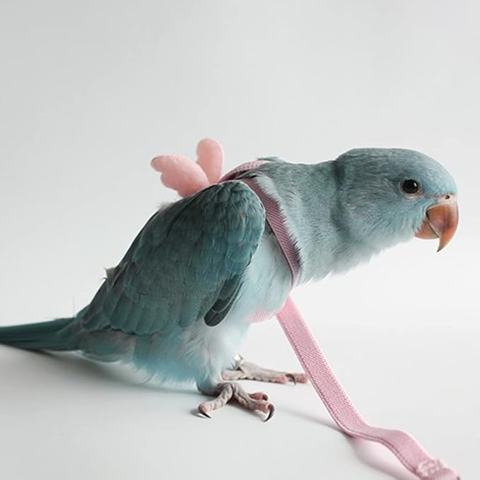 Pet Parrot Bird Harness Leash Adjustable Bird Flying Harness Traction Rope with Cute for Parrots Budgerigar Lovebird Cockatiel Mynah Outdoor Training Toy (Budgerigar/Lovebird,Pink)