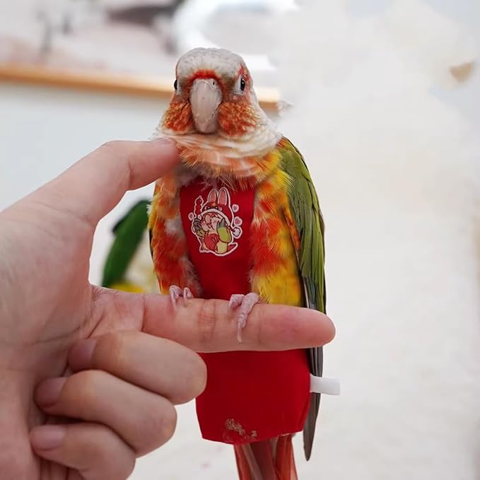 MANON ROSA Bird Diapers Leash Set Washable Reusable Handmade Flight Suit Waterproof Inner Layer - Protective Parrot Nappy Clothes Parakeets Macaws Budgies Canaries (Red3,Caique)