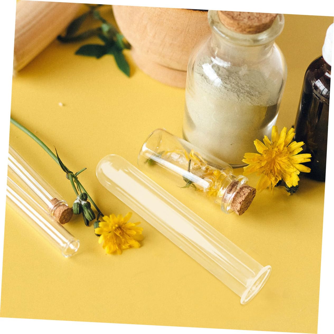 Ciieeo 6pcs Glass Test Tube Vase for Air Plant Terrarium Propagation Jars for Plants Glass Tube Vase Elegant Design for Home Office