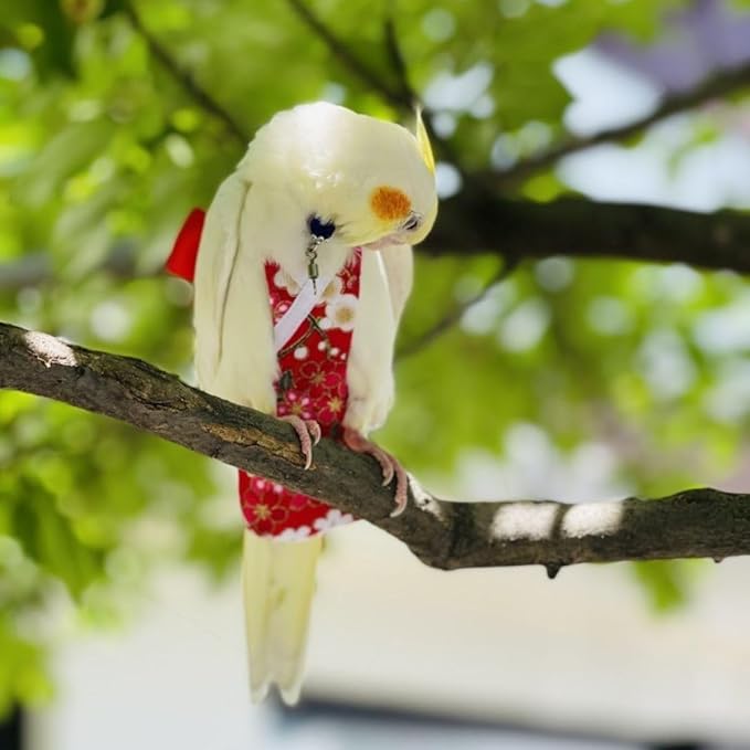 Bird Diaper Parrot Washable Diapers, Parrot Flight Suit, Reusable Nappies for Parakeet Cockatiel Mini Macaw Budgie Conure Lovebird (Beige,Pigeon)