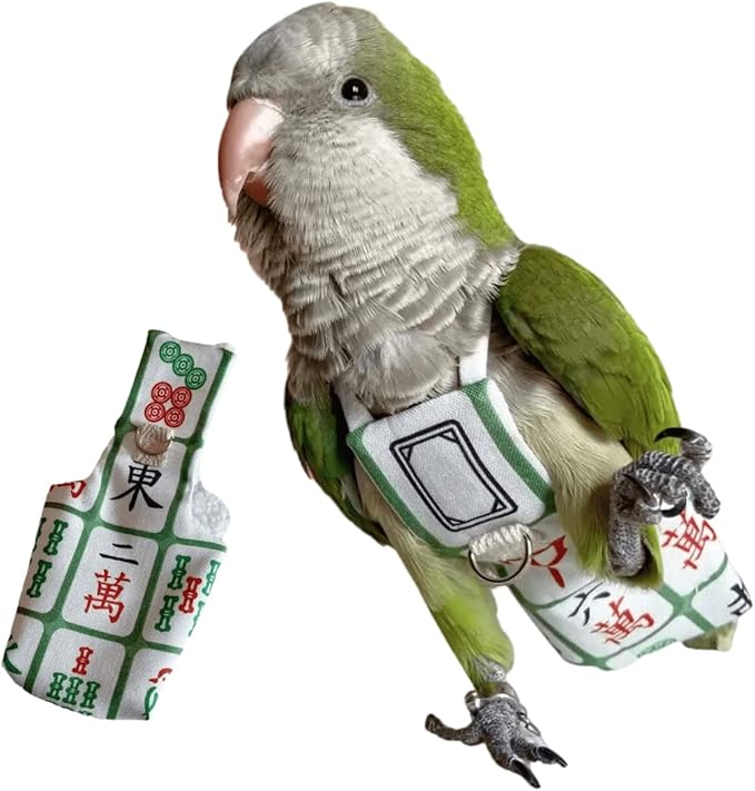 Bird Diaper Harness Flight Suit Clothes, Parrot Flight Suit with Leash for Parrot, Bird Flying Clothes with Rope and Handle for Outdoor Activities Training (Without Leash,Green Quaker)