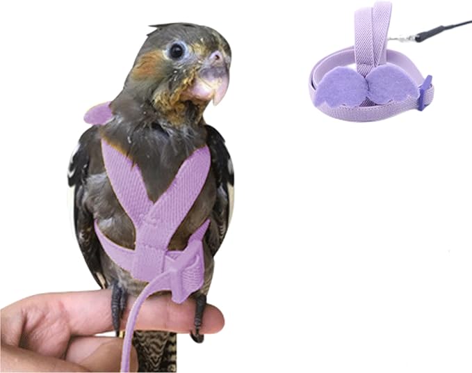Bird Harness Parrot Leash -Adjustable Outdoor Flying Kit for Parrot Budgie Lovebird Cockatiel Macaw Parakeet (Purple,XL)