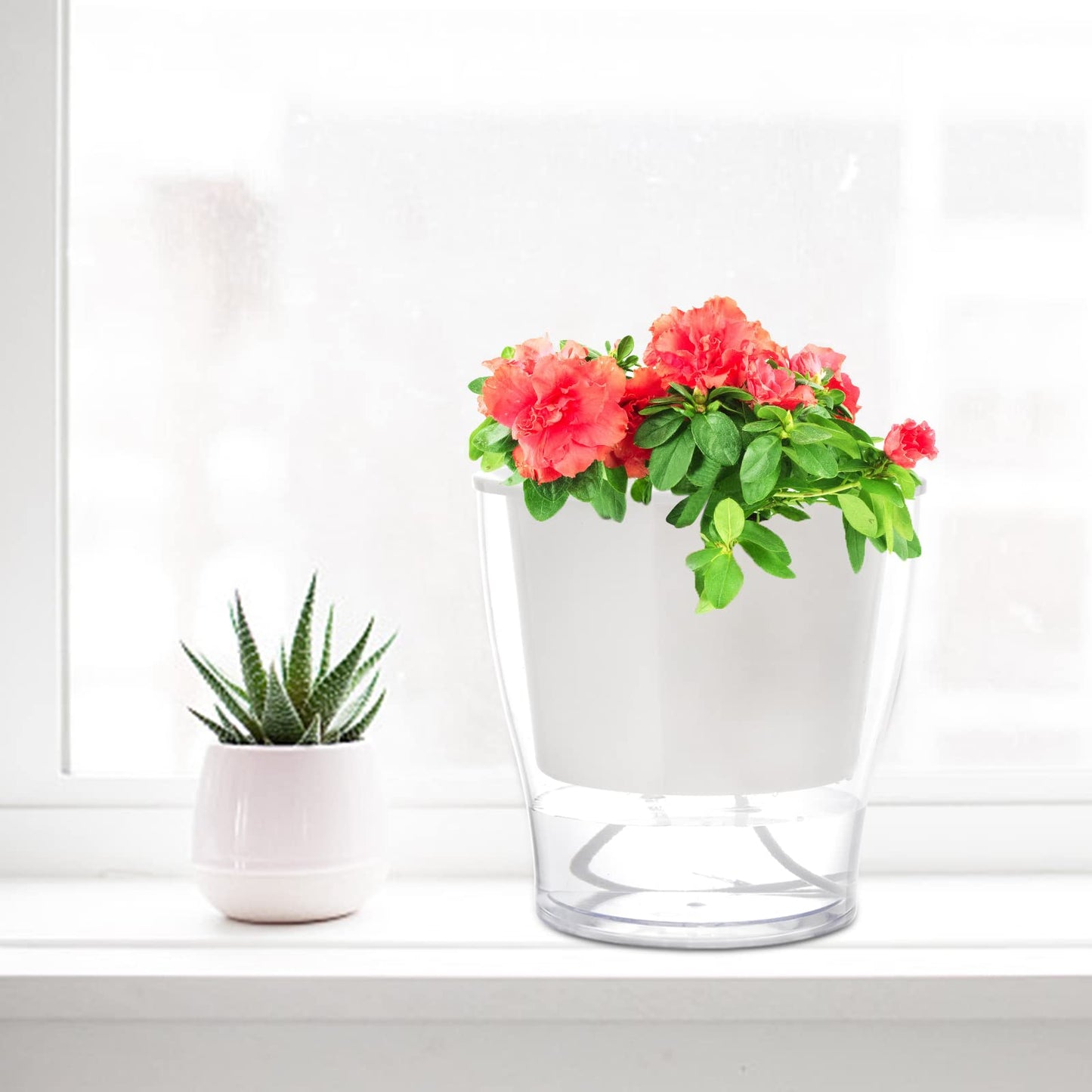ZOOFOX 4 Pack Self Watering Pots for Indoor Plants, 7 Inch Large Clear Plastic Automatic-Watering Plant Pot, Modern Decorative Pot for Indoor Plants, Flowers, Herb, Aloe, Orchid, African Violets