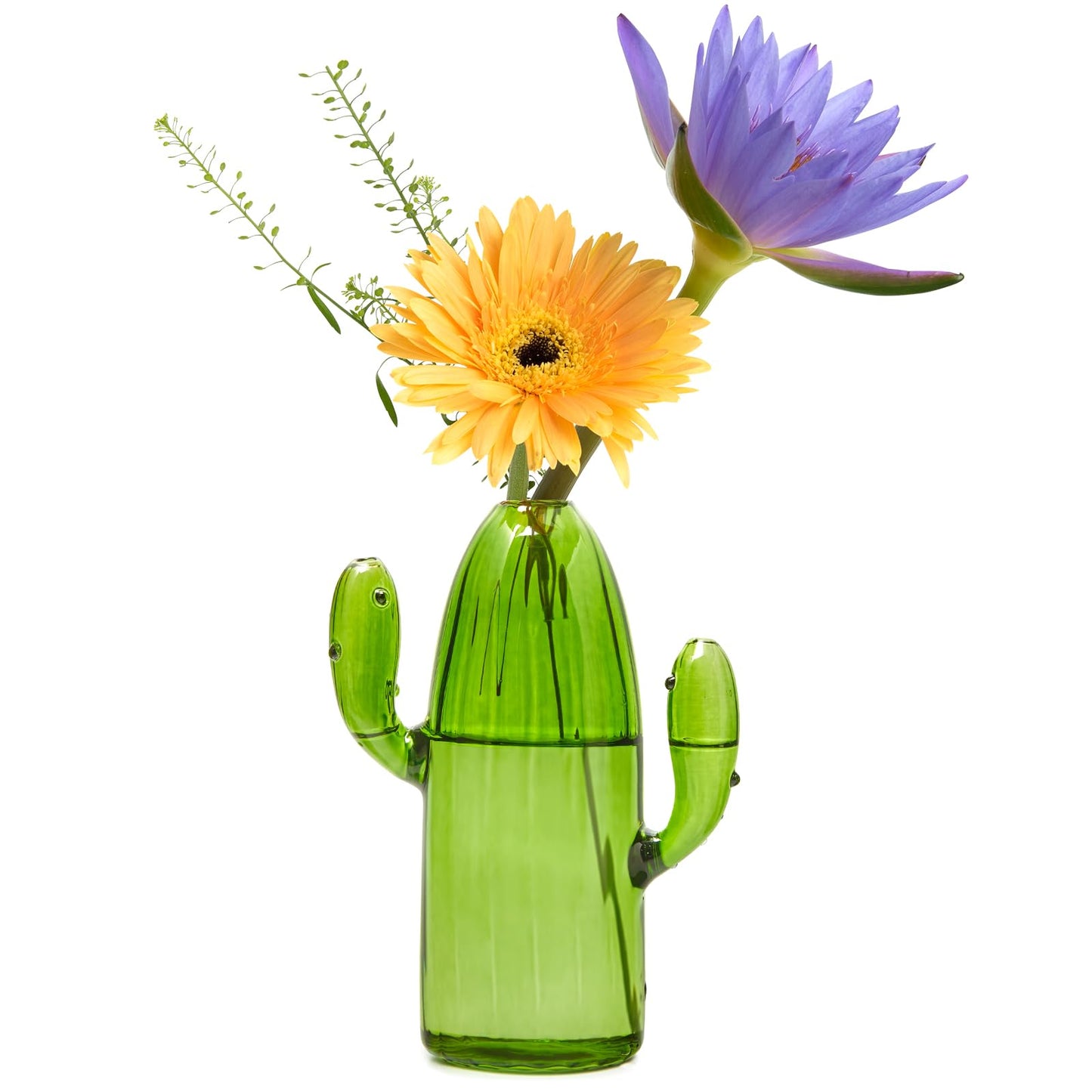 XXXFLOWER Cactus Plant Propagation Station Terrarium Jars for Plant Cuttings Air Plant Holders Unique Glass Flower Vase for Hydroponics Plants for Plant Lovers Home Garden Decor