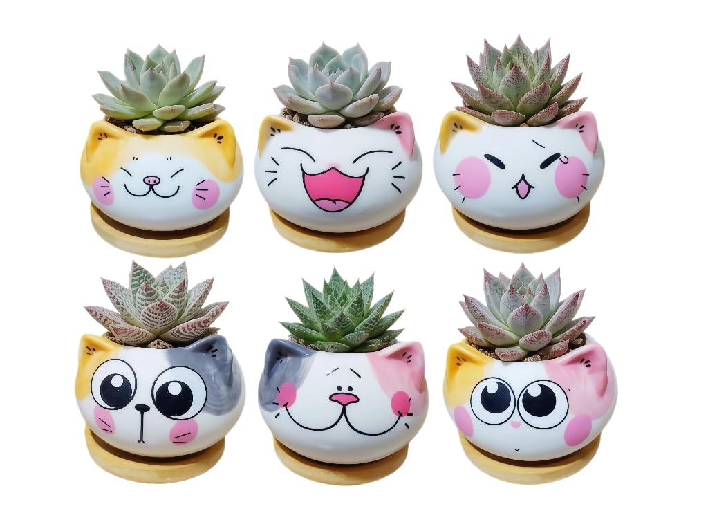 Cuteforyou Cute 3.5 Inches Indoor Cartoon Animal Cat Shaped Ceramic Succulent Cactus Flower Plant Pots with Bamboo Tray-Plant Not Included (6 Corlors)