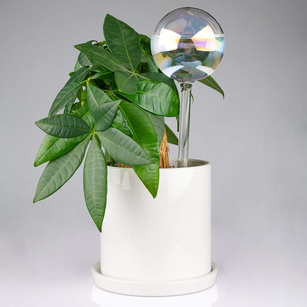 Tomorotec [2 PCS] Light Iridescent Rainbow Gradient Color Clear Glass Self-Watering System Spikes, Automatic Plant Waterer Bulbs