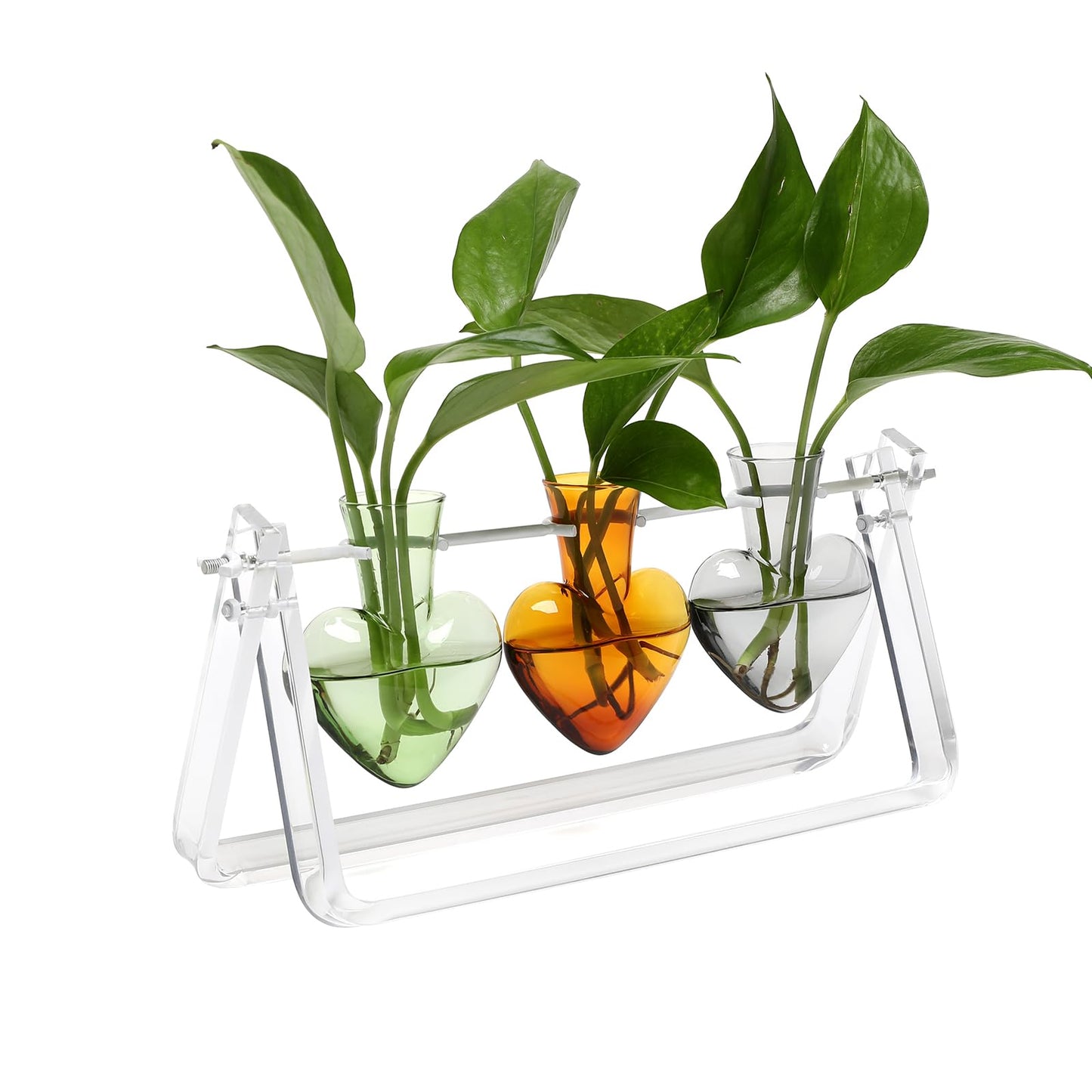 CYZglass Clear Plant Terrarium Propagation Stations with Acrylic Stand Birthday Gifts for Women Office Home Decor