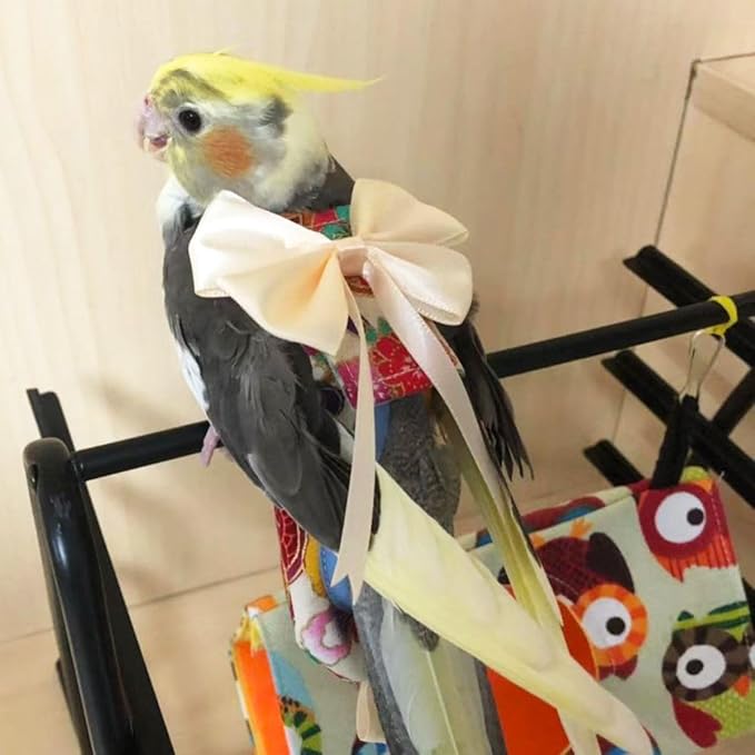 Bird Flight Suits Diapers, Parrot Flight Suits Diapers for Quaker Parakeets Cockatiels Flight Suits, Parrot Clothes (Red,2M)