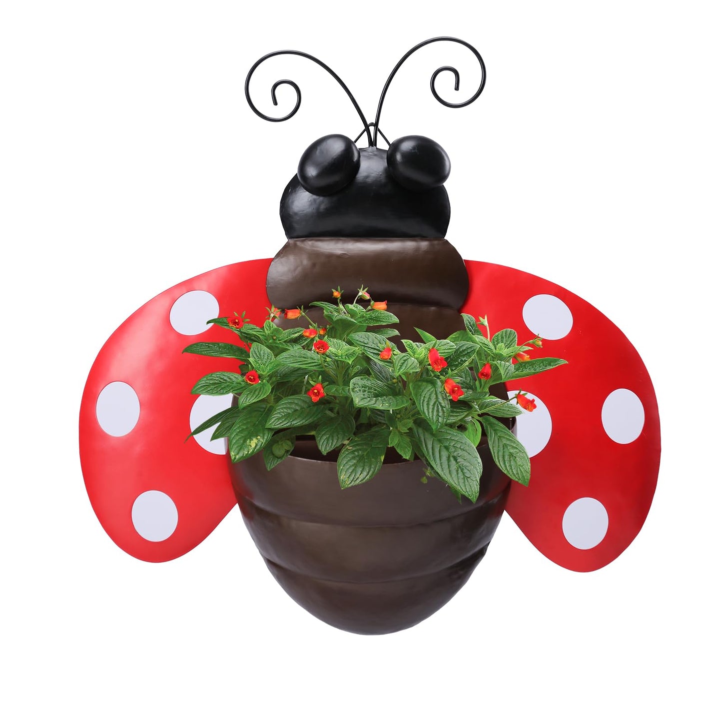 Chonsun Metal Wall Planter Ladybug Wall Mounted Planters Small Flower Pot with Drainage for Indoor Outdoor Farmhouse Hanging Planter Succulent Plant Container Vertical Garden Yard Decor