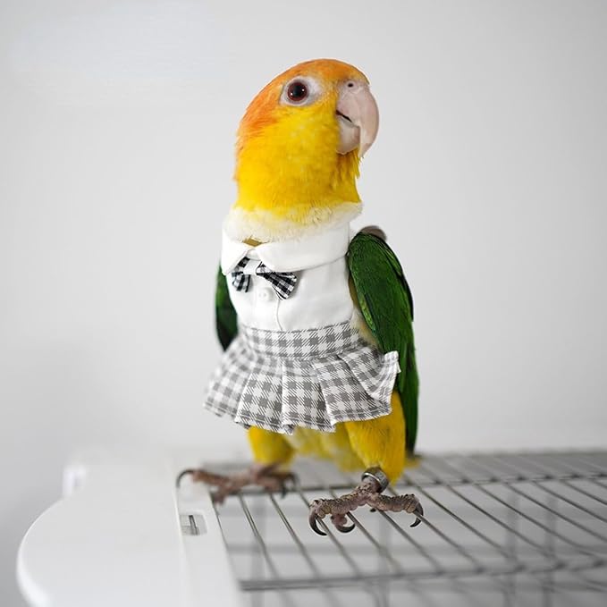 Bird Costume Bird Diaper Flight Suit Cute JK Dress Dress Skirt Clothes Cosplay Photo Prop for Parrots Macaw Cockatoo (with Diaper,2XL)
