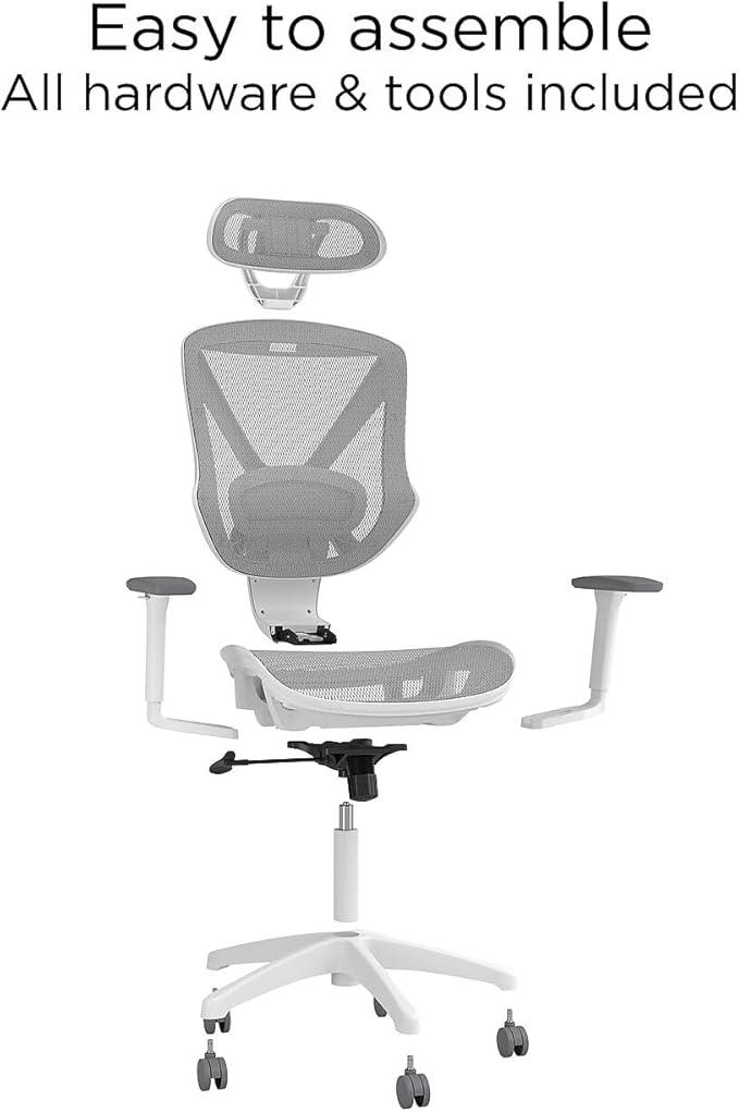 STAPLES Ergonomic Task Chair, Lumbar Support