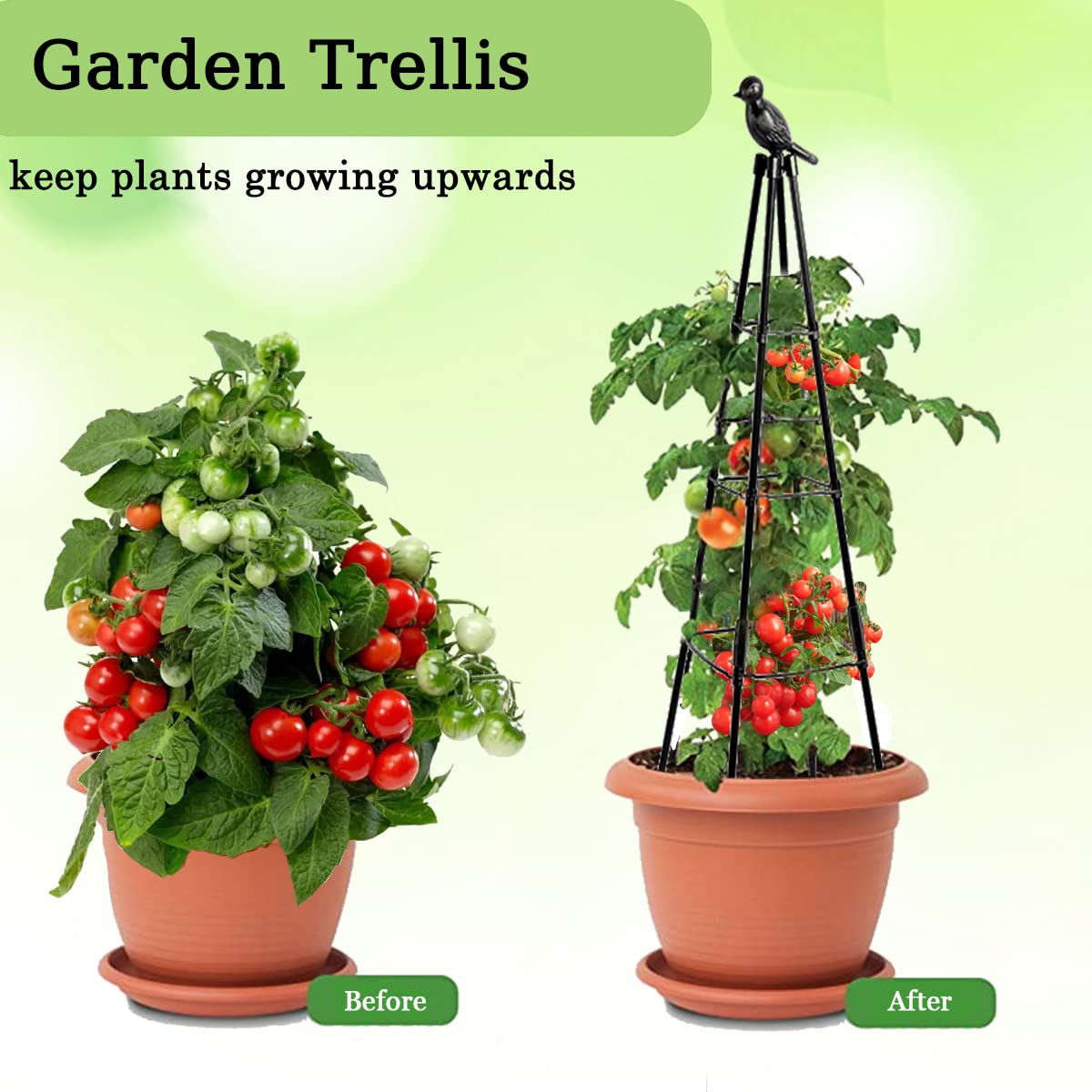 2 Pack Garden Trellis for Climbing Plants,63inch Tall Plants Trellis Support with Adjustable Stake Arms,Plastic Coated Rustproof Metal Pipe Supports for Outdoor Indoor, Potted Plants, Tomato, Rose