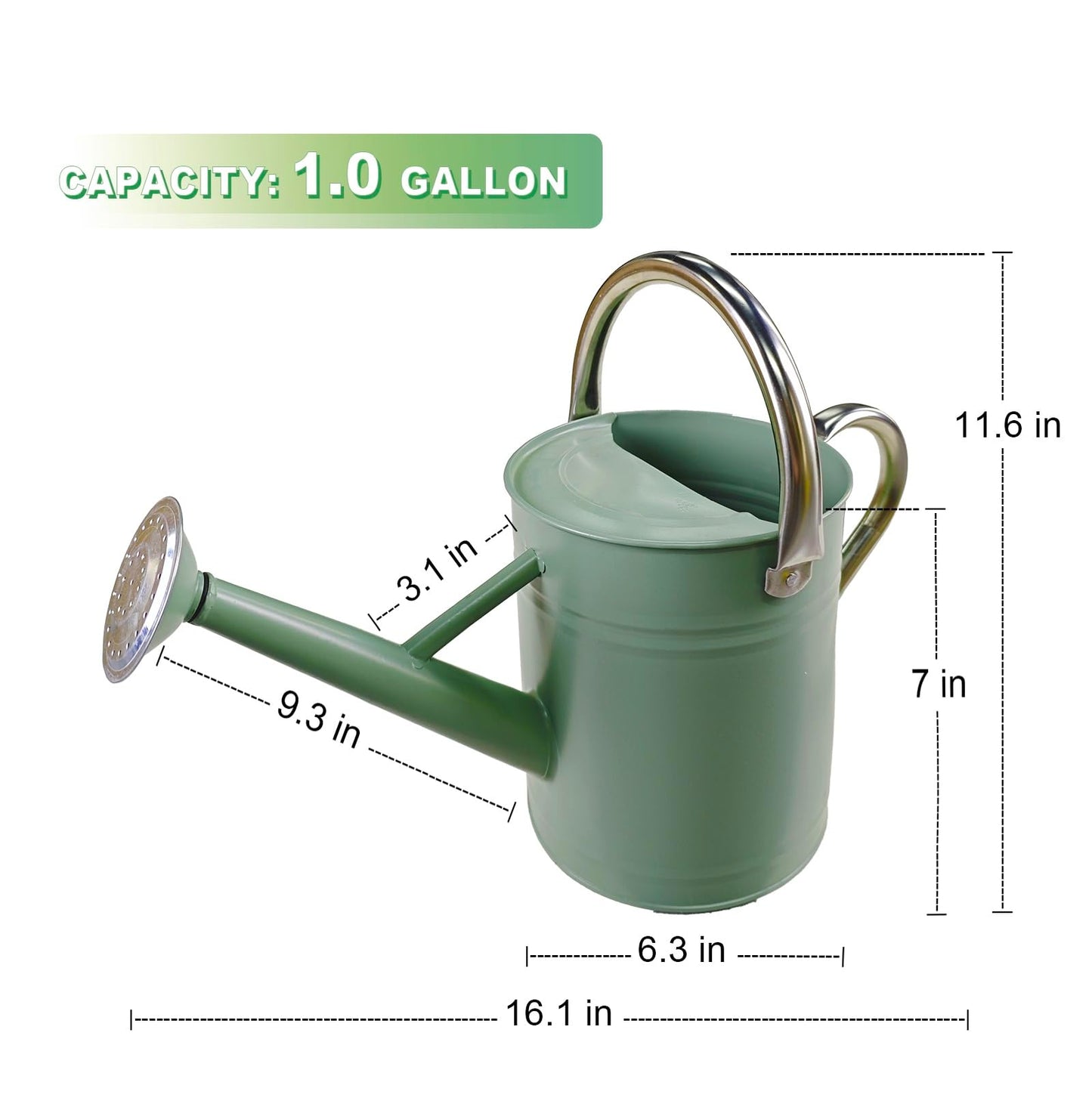 Watering Can for Outdoor&Indoor Plants，1 Gallon Metal Watering Can with with Removable Spout，Galvanized Steel Garden Flower Water Can Plant Watering Pot with 2 Stainless Steel Handles，Cream Green