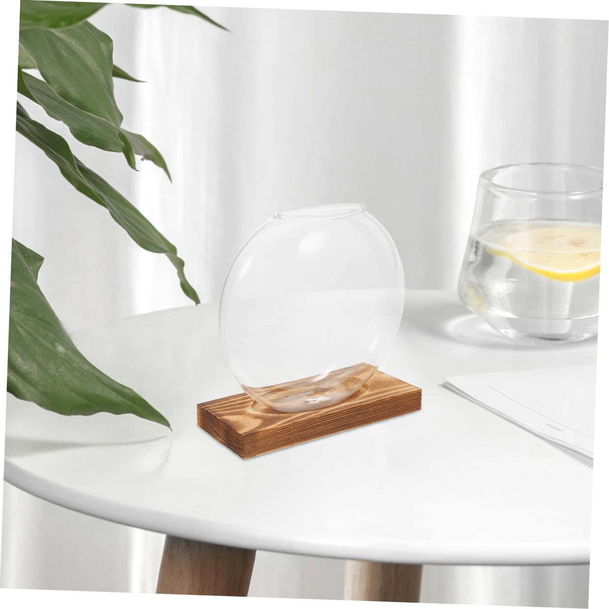 NUOBESTY 2pcs Glass Vase with Wooden Stand for Plant Propagation Hydroponic Terrarium Container Desktop Planter for Home and Office Decor