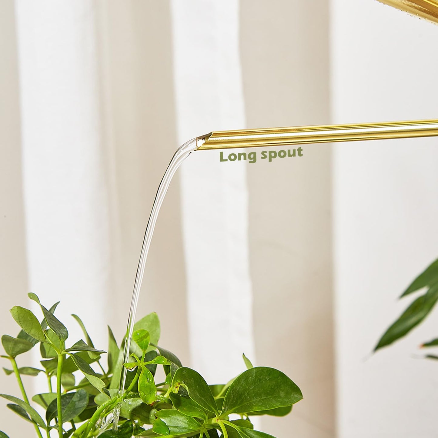 Chemlliy Watering Can for Indoor Plants, 50 oz/1.5L Stainless Steel Watering Can Pot with Long Spout, Garden Watering Cans with Comfortable Handle for Indoor House Plants Bonsai Flower Decorative