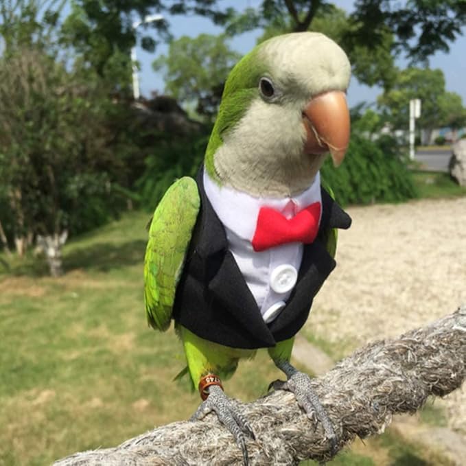 Bird Clothes Birds Flight Suit,Tuxedo Business Suit for Parrots African Greys Parakeet Cockatiel Sun Conure Christmas Party Birthday Cosplay Photo Prop Small Animals Apparel (M,Black Suit)