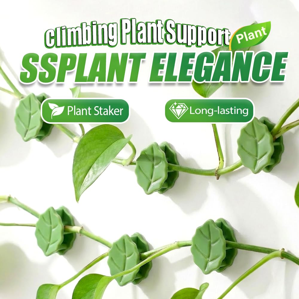 30 Pcs Plant Climbing Wall Fixture Clips with Acrylic Adhesive Stickers, Leaf Fixer Invisible Wall Vines Fixing Clips Self-Adhesive Hook Plant Vine Traction for Indoor Outdoor Decoration (30 Pcs)