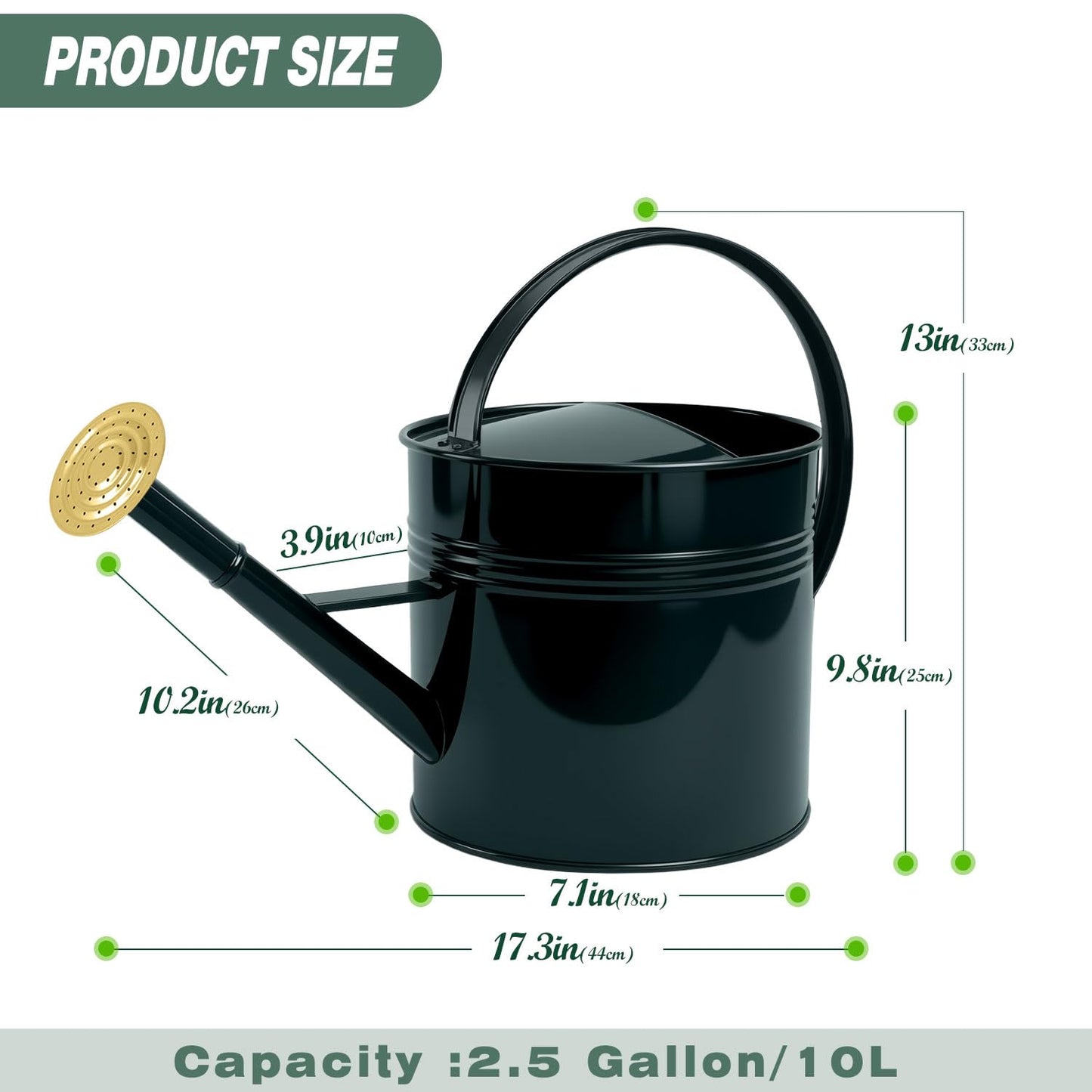 LONGRUN 2.5 Gallon Dark Green Metal Watering Can for Plants and Garden with Removable Spout, Made of Galvanized Iron