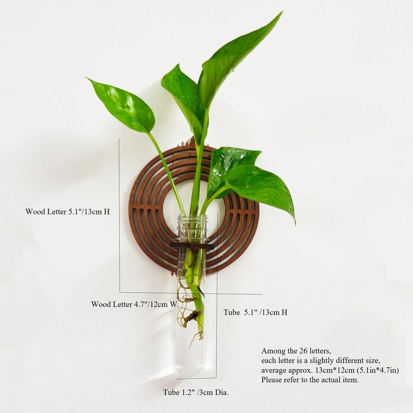 Win Letter Wall Propagation Planters Test Tubes Wall Decor for Hanging Plants Clear Water Plant Vase Brown Wood Upletter Alphabet Functional Art Boho Set of 3