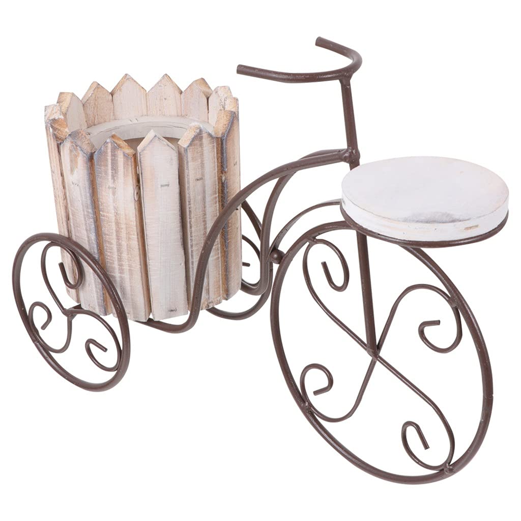 MIIKHI Wrought Iron Bike Plant Stand Rustic Style Bicycle Flower Pot Cart Holder Flower Basket (E 31.00 x 16.00 x 12.00 cm)