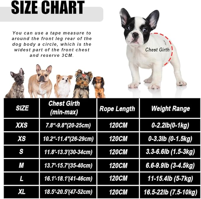 FEimaX Dog Harness and Leash Set for Walking, Soft Mesh Adjustable Easy Control Lightweight Cat Vest Harnesses with Reflective Strips, Escape Proof Small Dogs Cats Vests (Black, X-Large)