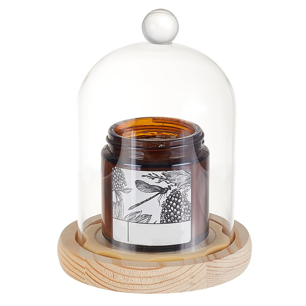 GOMAKERER 1 Pc Glass Display Dome Cloche, 4.45x5.91 Inch Cloche Bell Jar Terrarium with Cork Base Decorative Display Dome Case for Plants Flower Christmas Display Decoration, Clear