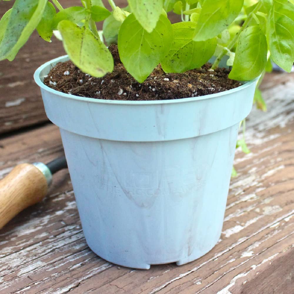 The HC Companies Biopax 4 Inch Eco-Friendly, Biodegradable Plant Pots - Perfect for Seed Starting or Vegetables (Set of 6)