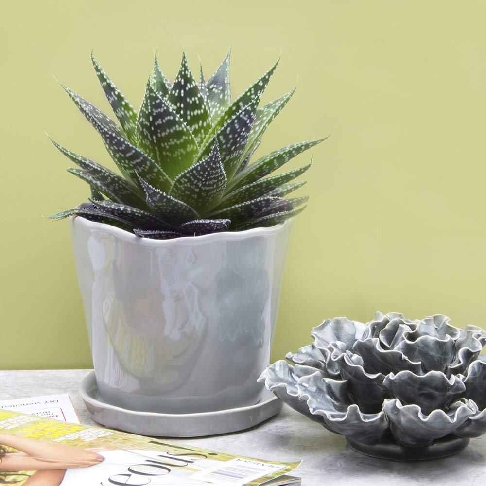 CHIVE ‘Tika’ Big Succulent Pot — 5” Cute Planter Pots for Indoor Plants — Beautiful Modern Decor for Home & Kitchen — Grey