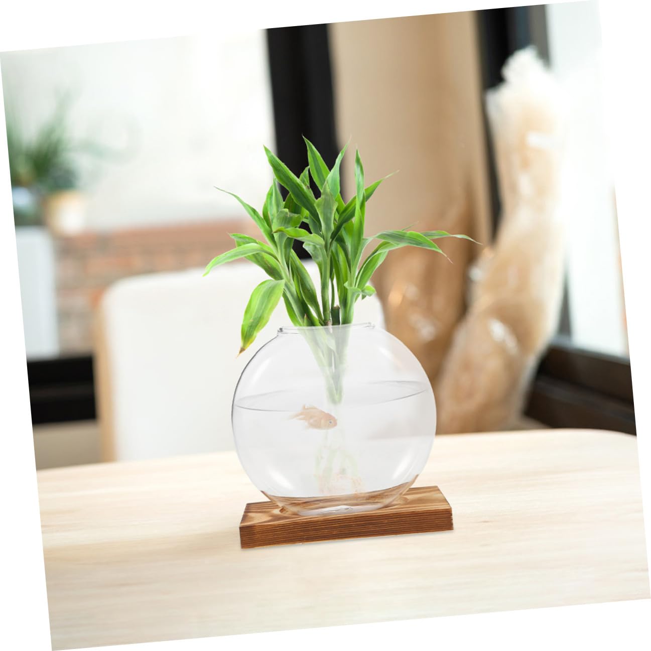 Toyvian 2pcs Hydroponic Glass Vase for Plants with Wooden Base Plant Propagation Station Indoor Terrarium Planter for Home Office Décor