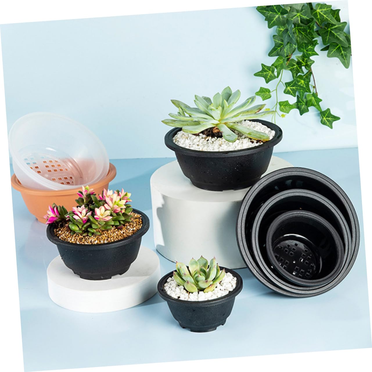 KONTONTY 6.10 Inch Shallow Plastic Succulent Planter Set of 6 Hollow Bottom Lightweight Flower Pots for Indoor Outdoor Gardening and Plant Containers