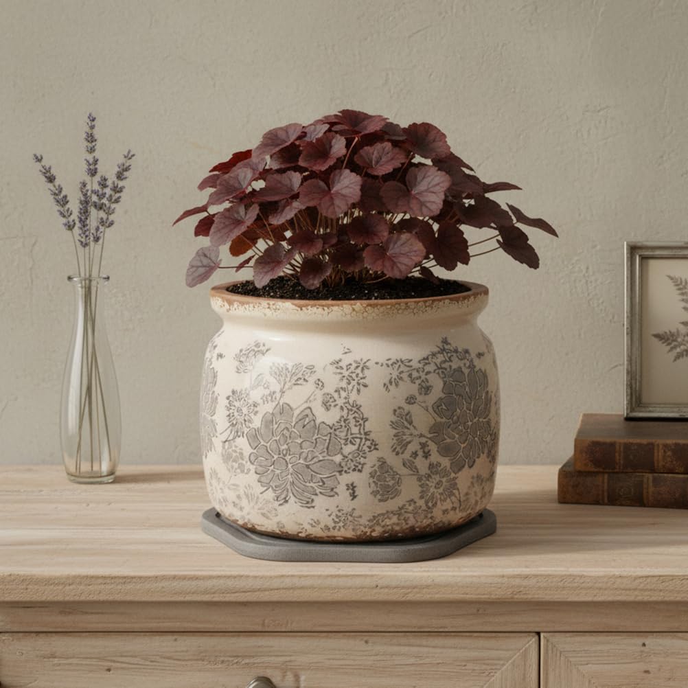 Xiaan Jiaju Plant Trays for Pots, 2 Pack 8" Hexagon Water Absorbent Stone Tray, Diatomaceous Earth Flower Pot Saucers, Drip Trays for Indoors, Keeps Counter and Floors Dry & Clean, Dark Gray