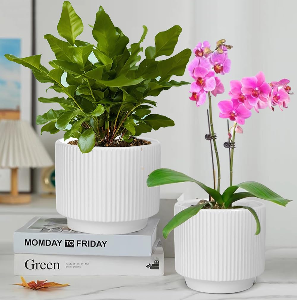 MUZHI Ceramic Orchid Pot with Holes and Drainage Tray Set of 2, 5+6 Inch, Double Layer Orchid Planter with Clear Plastic Inner Net Baskets Pots for Repotting